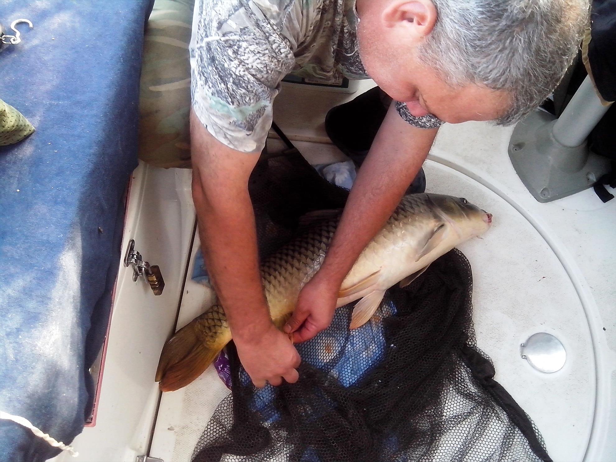 Sulina septembrie 2014 - img20140922161609.jpg